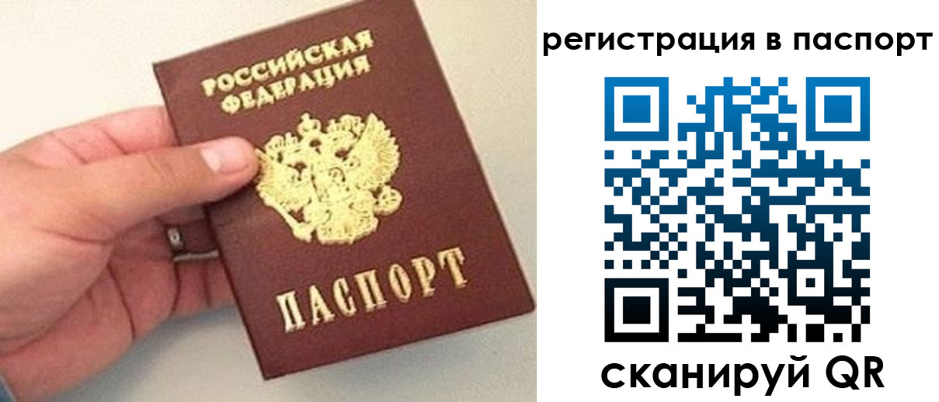 прописка законно в Солнечногорске
